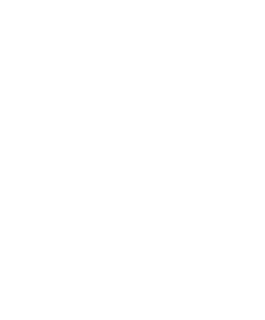 Logo 2022 Travellers' Choice Tripadvisor